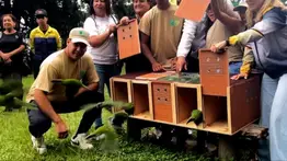 2001ONLINE - VENEZUELA - EL ÁVILA 