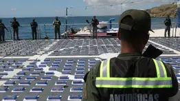 ¿Cuántas toneladas de drogas se han incautado en Venezuela en lo que va de año? Sepa las zonas estratégicas