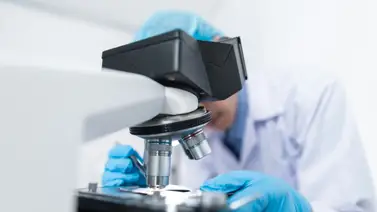 cómo-prevenir-la-enfermedad-de-chagas cómo-prevenir-la-enfermedad-de-chagas