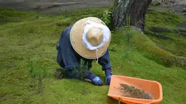 empleos-sin-inglés-en eeuu