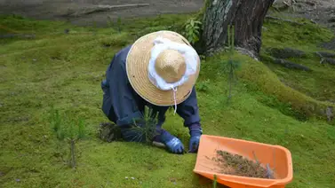 empleos-sin-inglés-en eeuu empleos-sin-inglés-en eeuu