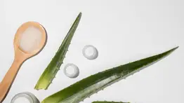 Despídete del estreñimiento: así puedes preparar un efectivo remedio casero a base de aloe vera