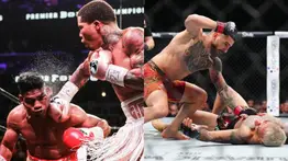 ¿Boxeo o artes marciales mixtas?: el deporte más peligroso según la ciencia