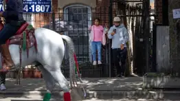 México sin fiesta patria: el miedo que obligó a suspender las celebraciones en Chicago