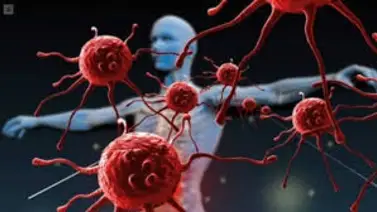 Batalla silenciosa: famosos de Hollywood que padecen enfermedades crónicas y autoinmunes  Batalla silenciosa: famosos de Hollywood que padecen enfermedades crónicas y autoinmunes