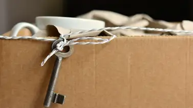 El secreto para repatriar tus bienes desde EEUU a México sin un solo dólar de impuestos: ¿Lo conocías? El secreto para repatriar tus bienes desde EEUU a México sin un solo dólar de impuestos: ¿Lo conocías?