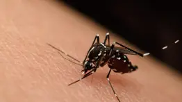 virus-del-nilo-eeuu-illinois