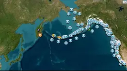 Alerta de tsunami en Estados Unidos: ¿Cuáles estados serían afectados?
