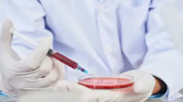 Mieloma múltiple latente: nueva esperanza para frenar su progresión Mieloma múltiple latente: nueva esperanza para frenar su progresión