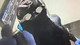 2001ONLINE - USA - ROBO DISNEY