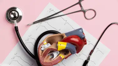 Hallan relación entre la microbiota intestinal y la aterosclerosis: se trata de un mensajero y enemigo de tu corazón Hallan relación entre la microbiota intestinal y la aterosclerosis: se trata de un mensajero y enemigo de tu corazón