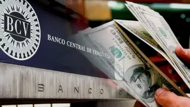 Precio del dólar y euro BCV para hoy 23 de septiembre: así se cotizan las divisas Precio del dólar y euro BCV para hoy 23 de septiembre: así se cotizan las divisas