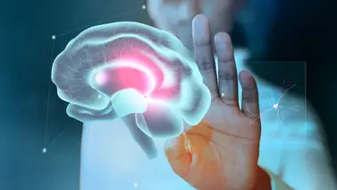 Primer tratamiento efectivo contra Huntington sale a la luz: esta inyección frena en un 75 % el avance de la enfermedad Primer tratamiento efectivo contra Huntington sale a la luz: esta inyección frena en un 75 % el avance de la enfermedad