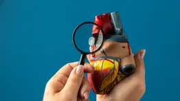 Dile adiós al colesterol alto con este cereal rico en fibra soluble y vitaminas: esta es la cantidad que debes consumir al día