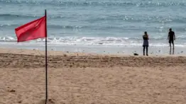 Advertencia sanitaria en Miami-Dade: cuidado con las heces fecales en estas dos populares playas