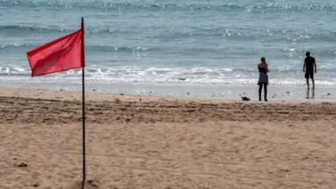 Advertencia sanitaria en Miami-Dade: cuidado con las heces fecales en estas dos populares playas Advertencia sanitaria en Miami-Dade: cuidado con las heces fecales en estas dos populares playas