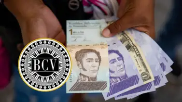 Precio del dólar y euro BCV para el 30 de septiembre: así se cotizan las divisas Precio del dólar y euro BCV para el 30 de septiembre: así se cotizan las divisas