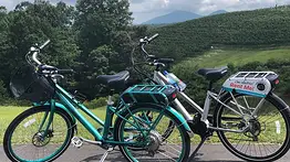 Menos trámites y más pedal: el nuevo plan para los parques nacionales en Georgia 
