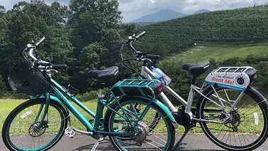 Menos trámites y más pedal: el nuevo plan para los parques nacionales en Georgia Menos trámites y más pedal: el nuevo plan para los parques nacionales en Georgia