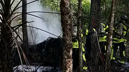 Fallo en las maniobras de ascenso inicial: Avioneta cae en zona boscosa de Florida a pocos minutos de despegar