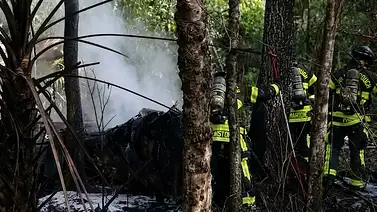 Fallo en las maniobras de ascenso inicial: Avioneta cae en zona boscosa de Florida a pocos minutos de despegar Fallo en las maniobras de ascenso inicial: Avioneta cae en zona boscosa de Florida a pocos minutos de despegar