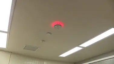 Monitoreo en instalaciones escolares de Florida: instalan sensores de vapeo en planteles desde primaria hasta octavo grado Monitoreo en instalaciones escolares de Florida: instalan sensores de vapeo en planteles desde primaria hasta octavo grado