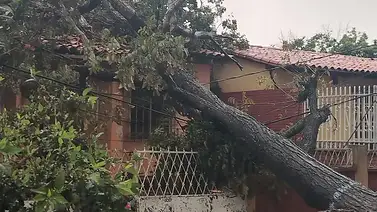Lluvias causan estragos en las últimas 24 horas: zonas afectadas y números de emergencia Lluvias causan estragos en las últimas 24 horas: zonas afectadas y números de emergencia
