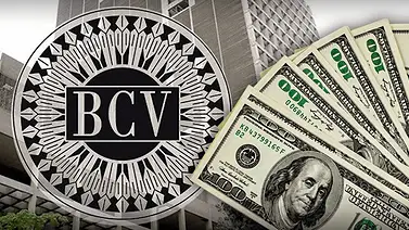 Dólar y euro BCV para este 8 de septiembre: así amanecen las divisas oficiales Dólar y euro BCV para este 8 de septiembre: así amanecen las divisas oficiales