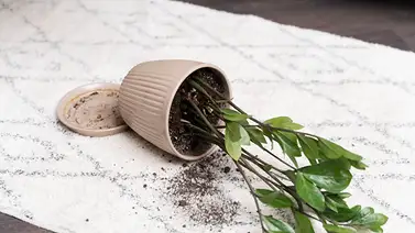 Aprende a quitar las manchas que dejan las macetas: trucos ideales para todo tipo de superficies Aprende a quitar las manchas que dejan las macetas: trucos ideales para todo tipo de superficies