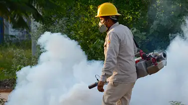 Intensifican fumigaciones tras reporte de 70 casos de dengue en Florida Intensifican fumigaciones tras reporte de 70 casos de dengue en Florida