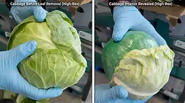Golpe al narcotráfico en Texas: decomisan más de 900 kilos de metanfetamina camuflada entre repollos