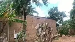 Asesinó a un septuagenario con una cabilla y lo enterró en su patio: Cicpc revela el motivo del brutal ataque