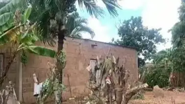 Asesinó a un septuagenario con una cabilla y lo enterró en su patio: Cicpc revela el motivo del brutal ataque Asesinó a un septuagenario con una cabilla y lo enterró en su patio: Cicpc revela el motivo del brutal ataque