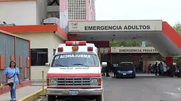 Niña quedó gravemente herida tras ser aplastada por una yegua: así ocurrió el incidente