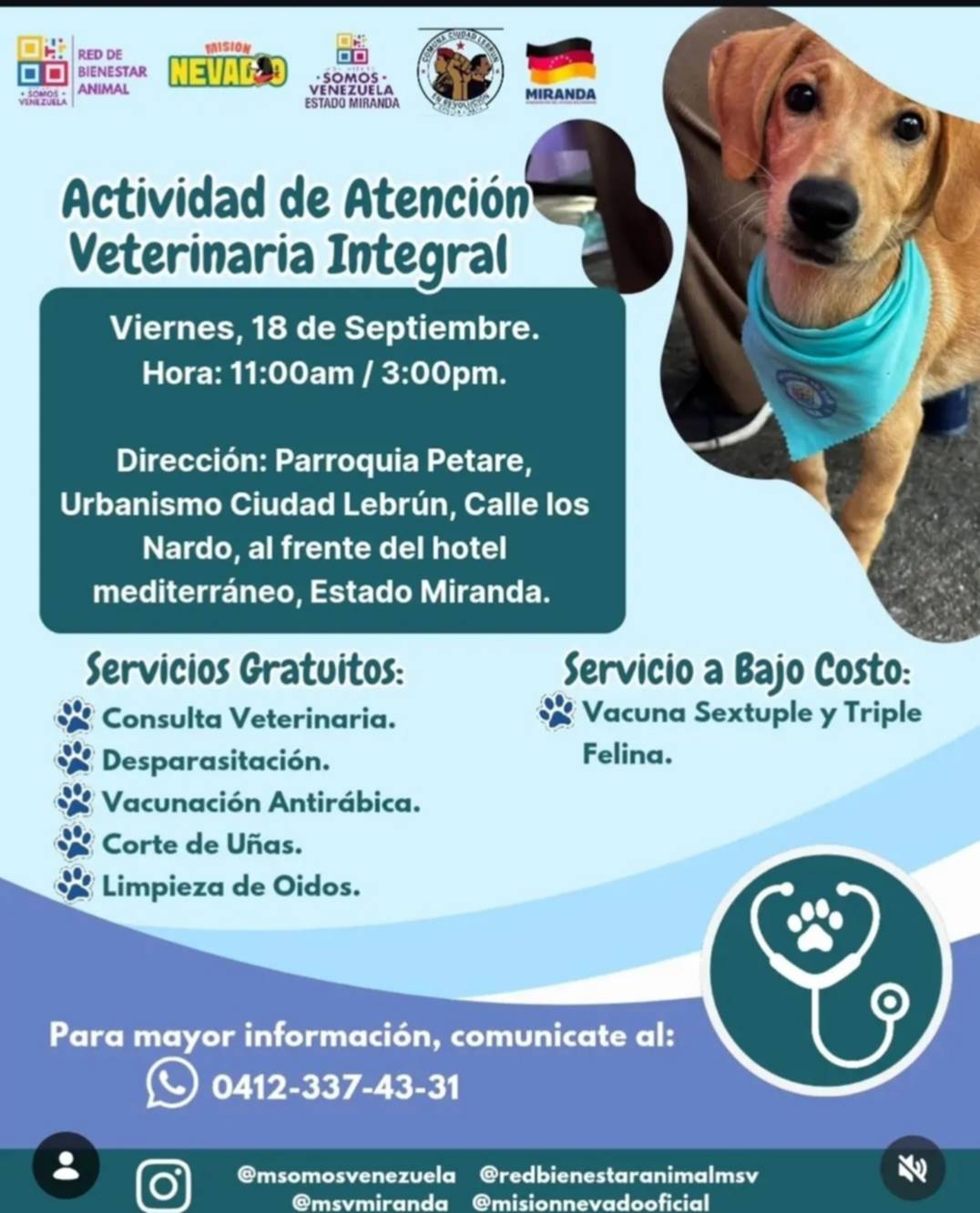 Misión Nevado realiza jornada veterinaria gratuita este 18 de septiembre: servicios y ubicación 