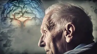 Día Mundial del Alzheimer: Estos son los principales factores de riesgo y así puedes prevenirlos Día Mundial del Alzheimer: Estos son los principales factores de riesgo y así puedes prevenirlos