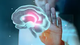Restauran función cerebral en roedores mediante neuronas humanas: avance en neurodesarrollo