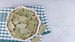 Un tesoro aromático y versátil: Conoce cómo puedes usar el laurel y sacarle mayor provecho 