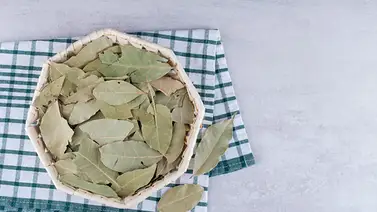 Un tesoro aromático y versátil: Conoce cómo puedes usar el laurel y sacarle mayor provecho Un tesoro aromático y versátil: Conoce cómo puedes usar el laurel y sacarle mayor provecho