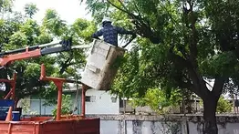 Obrero de Corpoelec murió tras accidente laboral: realizaba trabajos de pica y poda