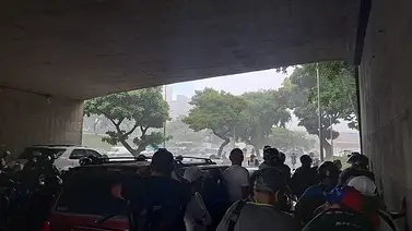 Lluvias causan estragos en San Bernardino: árbol cayó sobre un vehículo Lluvias causan estragos en San Bernardino: árbol cayó sobre un vehículo