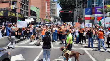 Marcha en defensa de los animales en Caracas este 26 de septiembre: "Reforma penal ya" Marcha en defensa de los animales en Caracas este 26 de septiembre: "Reforma penal ya"