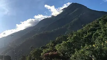 Hallan sin vida a un hombre en la Cota Mil este 30 de septiembre: estaba colgado de un árbol Hallan sin vida a un hombre en la Cota Mil este 30 de septiembre: estaba colgado de un árbol