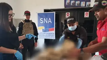Incineran más de mil 200 kilos de presunta droga durante operativos: así fueron los procedimientos Incineran más de mil 200 kilos de presunta droga durante operativos: así fueron los procedimientos