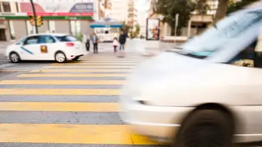 2001online – Nuevo México- licencia de conducir 2001online – Nuevo México- licencia de conducir