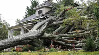 Abuelos murieron aplastados por un árbol en Carolina del Sur Abuelos murieron aplastados por un árbol en Carolina del Sur