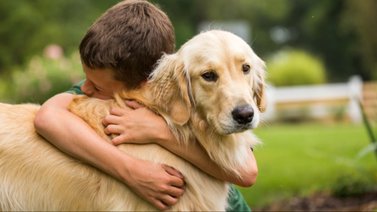 ¿En cuánto tiempo un perro se olvida de su dueño? Aquí te lo decimos