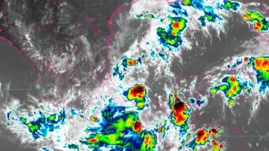 Declaran estado de emergencia en Florida ante la llegada de Milton Declaran estado de emergencia en Florida ante la llegada de Milton