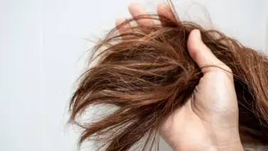 El ingrediente que debes añadirle al champú para estimular el crecimiento del cabello El ingrediente que debes añadirle al champú para estimular el crecimiento del cabello