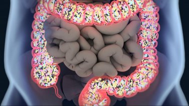 Flora bacteriana | Lista de alimentos que debes comer para prevenir su inflamación 